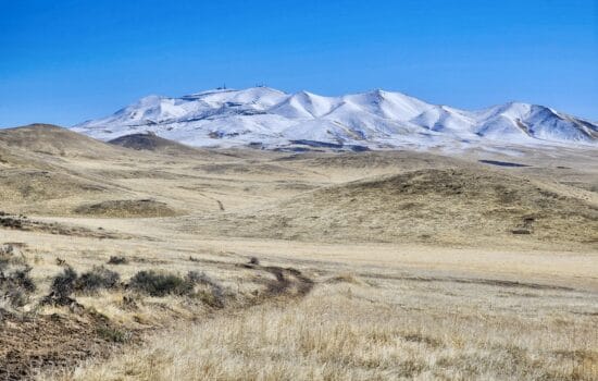 41.25 Acres with Views of Seven Mountain Ranges