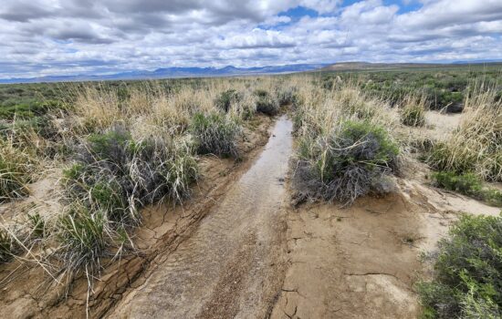 40 Acres in Crescent Valley with Mountain Views and Seasonal Creek
