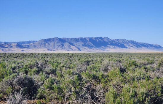 40.37 Acres of Wanna Get Away!