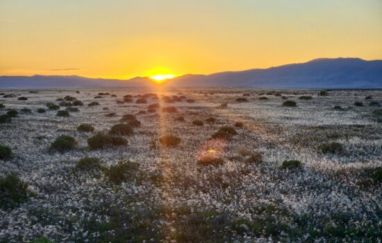 39.68 Acres of Serenity & Seclusion