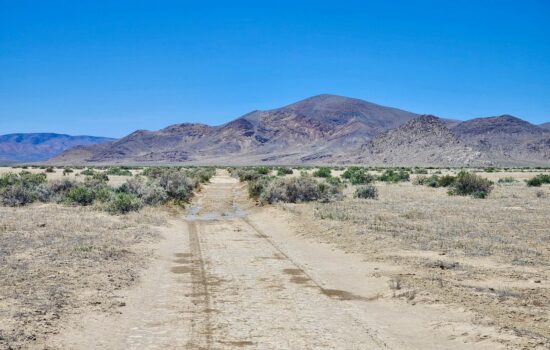 40.12 Acres Bordering 640 Acres of BLM Land