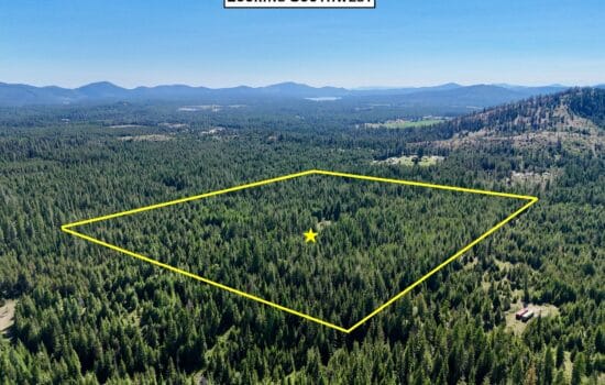 40 Acres of Forestland with ATV Trails Throughout