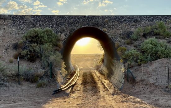 40 Acres near Petrified Forest National Park – No HOA, No Covenants