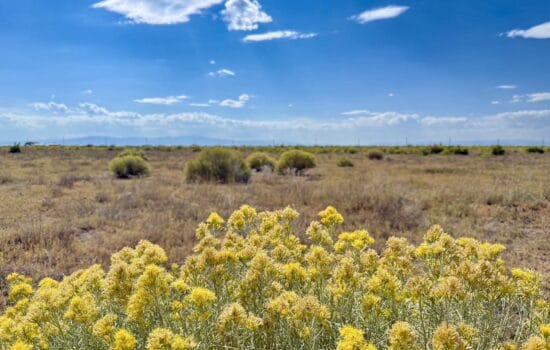 6.28 Acres in Sangre de Cristo Estates