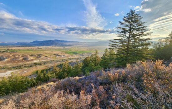 74.03 Acre Mountain Retreat – Hot Springs, MT