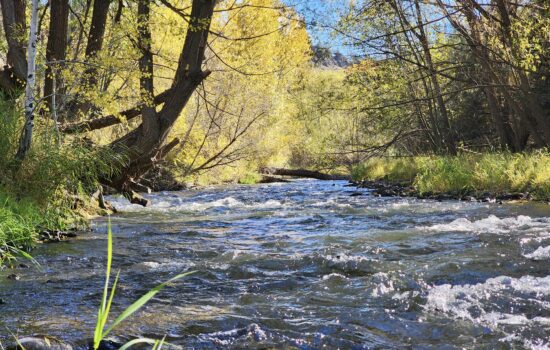 1.31 Acres on the Wallowa River with Power – Enterprise OR