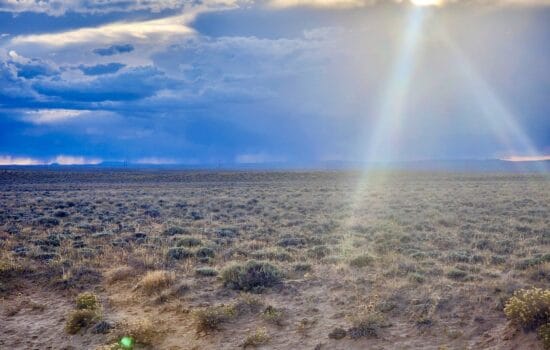 40 Acres of Leave Me Alone!