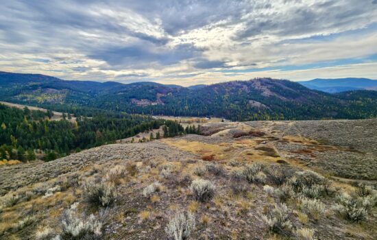 10 Acres in Curlew Rim Ranches – Republic, WA