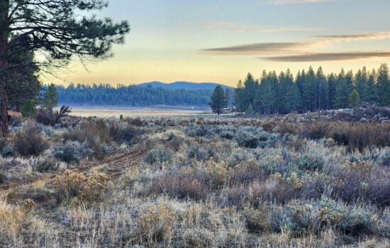 19.14 Acres of Recreational Land in Southern Oregon’s Wilderness.