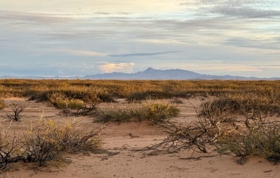 20 acres near Deming, NM