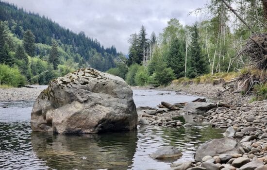 7.47 Acres on the Bogachiel River – Forks, WA