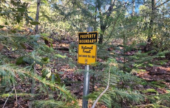 10.09 Acres Bordering the El Dorado National Forest—Georgetown, CA