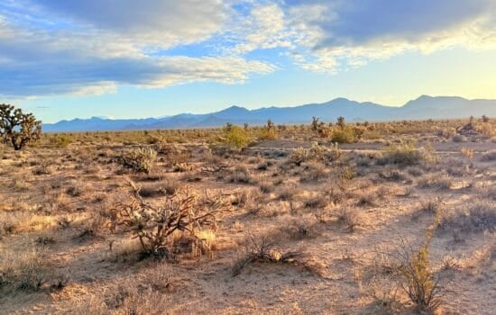 39.99 Acres in Stagecoach Trails at Santa Fe Ranch