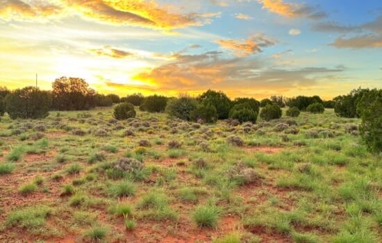 6.91 Acres with Power – Close to Show Low