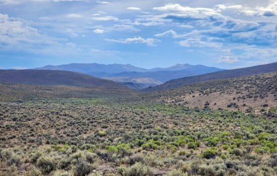 Remote High-Desert 40 Acres with Mountain Vistas