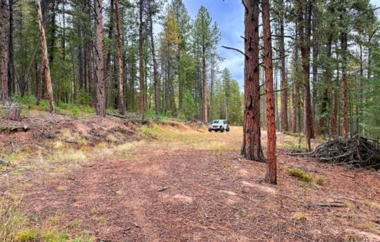 1.06 Acres in Oehlmann Park – 45 minutes from Downtown Denver