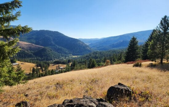 Off-Grid Mountain View Acreage Bordering Timberland – Saint Maries, ID